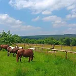 Avec Jacuzzi Privatif - Haras Le Val Du Conte 度假居 *