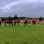 度假居 Avec Jacuzzi Privatif - Haras Le Val Du Conte Le Bouillon (Orne)