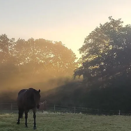 Avec Jacuzzi Privatif Et Piscine Privative - Haras Le Val Du Conte *