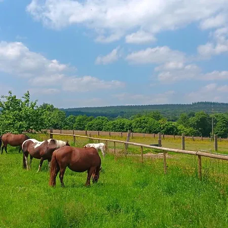 Avec Jacuzzi Privatif - Haras Le Val Du Conte Ferienhaus *