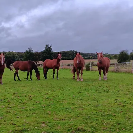 Ferienhaus Avec Jacuzzi Privatif - Haras Le Val Du Conte Le Bouillon (Orne)