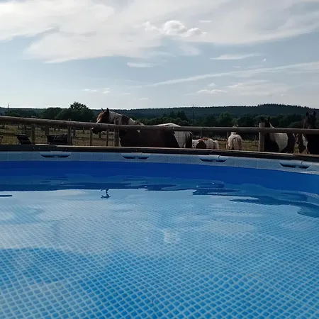 Avec Jacuzzi Privatif Et Piscine Privative - Haras Le Val Du Conte 펜션 *