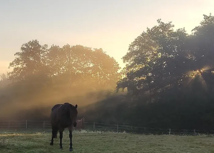 Avec Jacuzzi Privatif - Haras Le Val Du Conte *