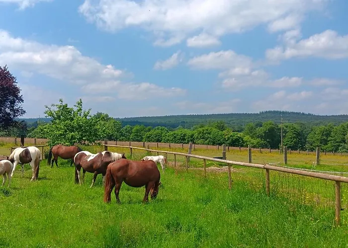 Avec Jacuzzi Privatif - Haras Le Val Du Conte Prázdninový dům *