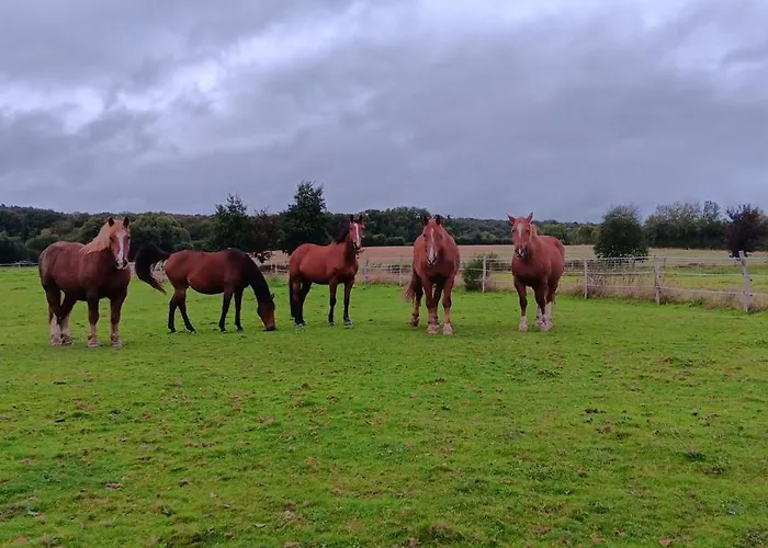 Ferienhaus Avec Jacuzzi Privatif - Haras Le Val Du Conte Le Bouillon (Orne)